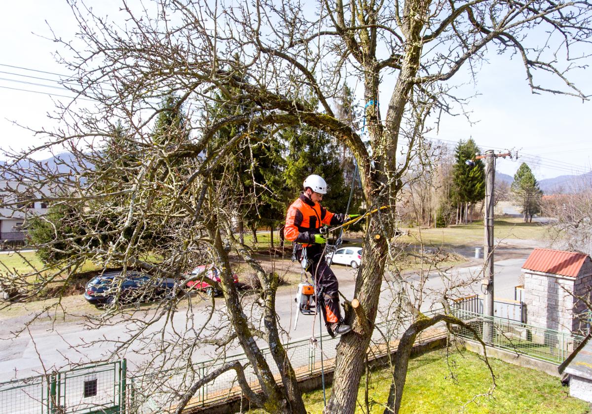 Cunei per abbattimento: Attrezzi per la caduta degli alberi